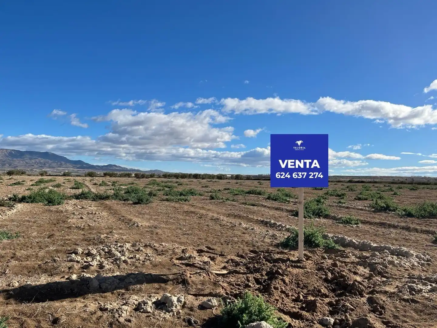 Terreno en venta en Alhama de Murcia