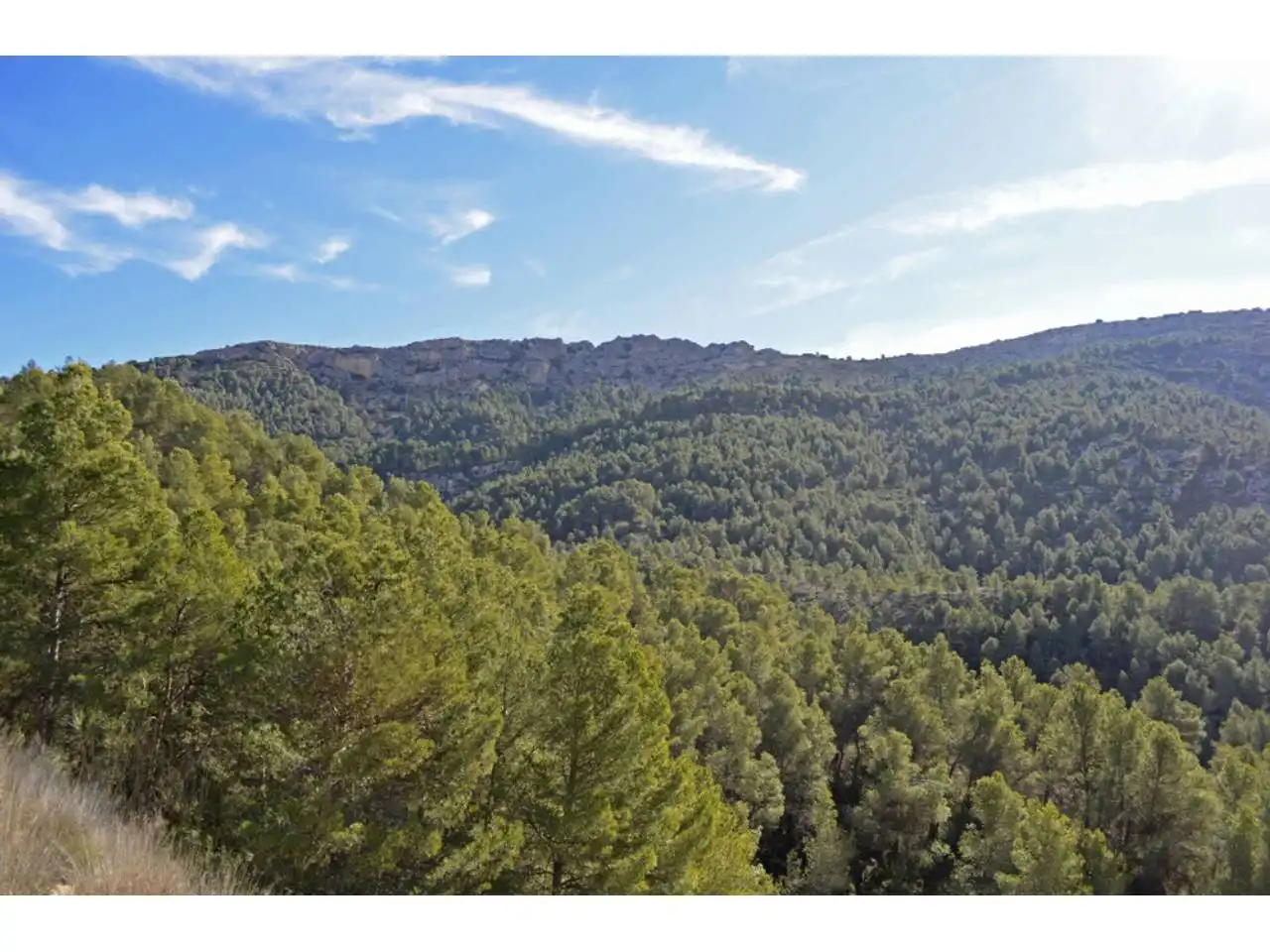 Lands and plots for sale in Pasaje Rincones y Sierra Espuña, imagen 7