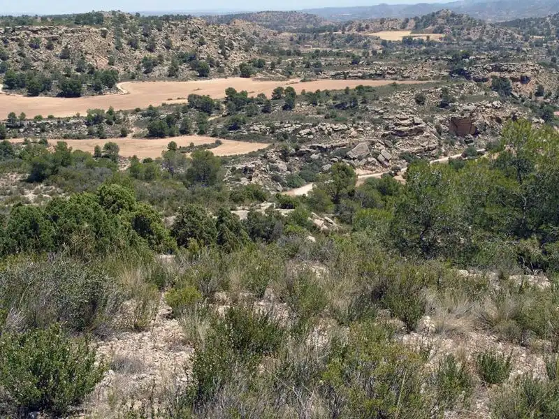 Finca rústica en venta en Alcañiz