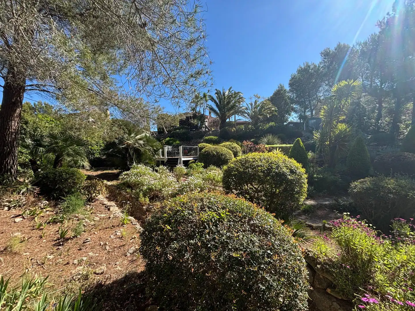 Jardí de Casa o xalet en venda en L'Ametlla de Mar  amb Jardí privat, Terrassa i Traster