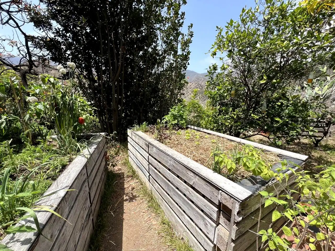 Jardín de Finca rústica en venta en Vallehermoso con Aire acondicionado, Calefacción y Jardín privado