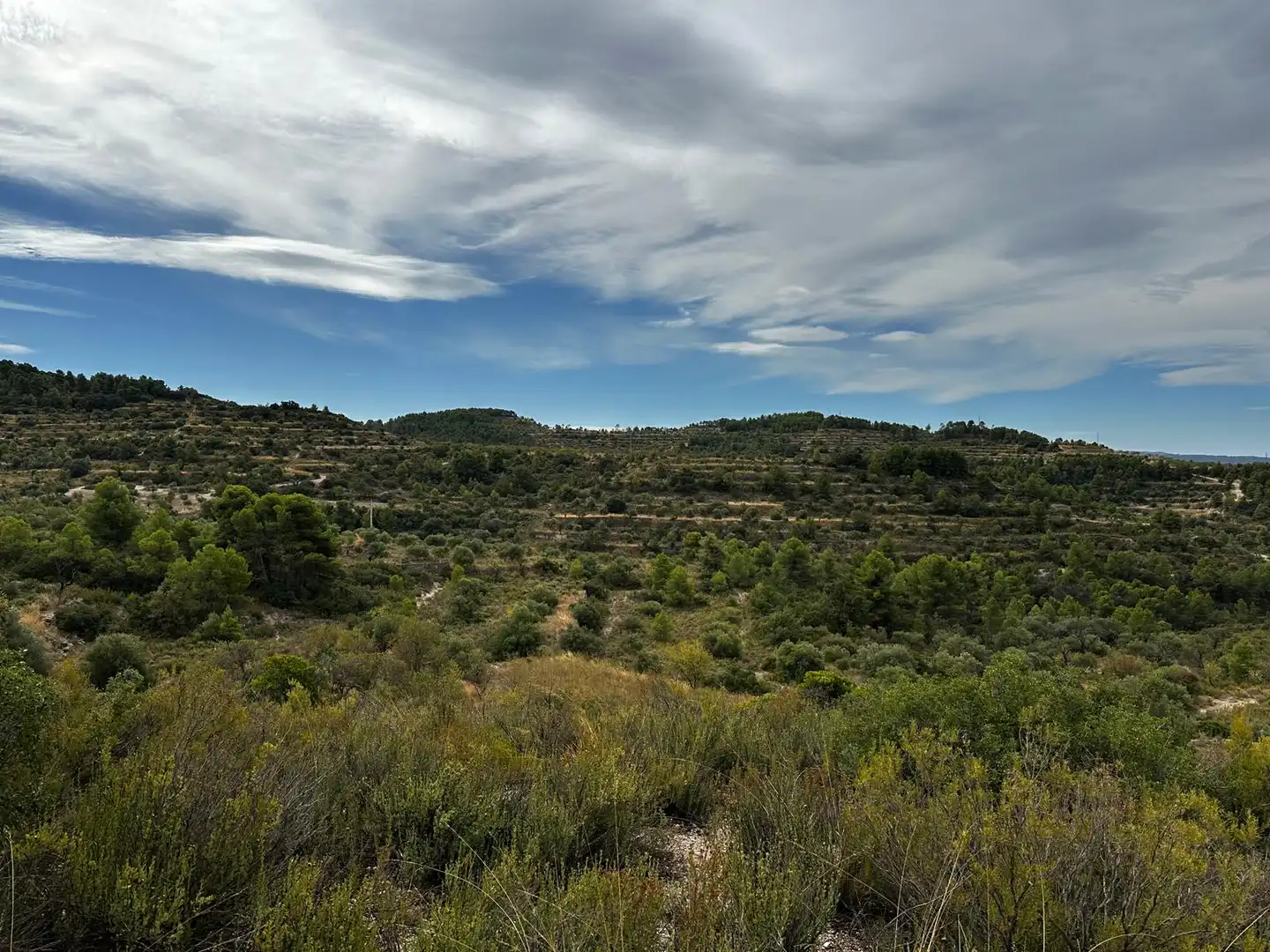 Terreny rústic en venda a Cervià de Les Garrigues, imagen 21