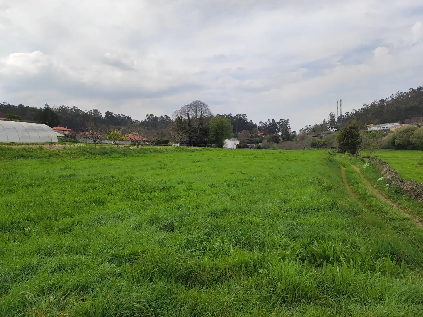 Terreny rústic en venda a Lugar Orro, imagen 2