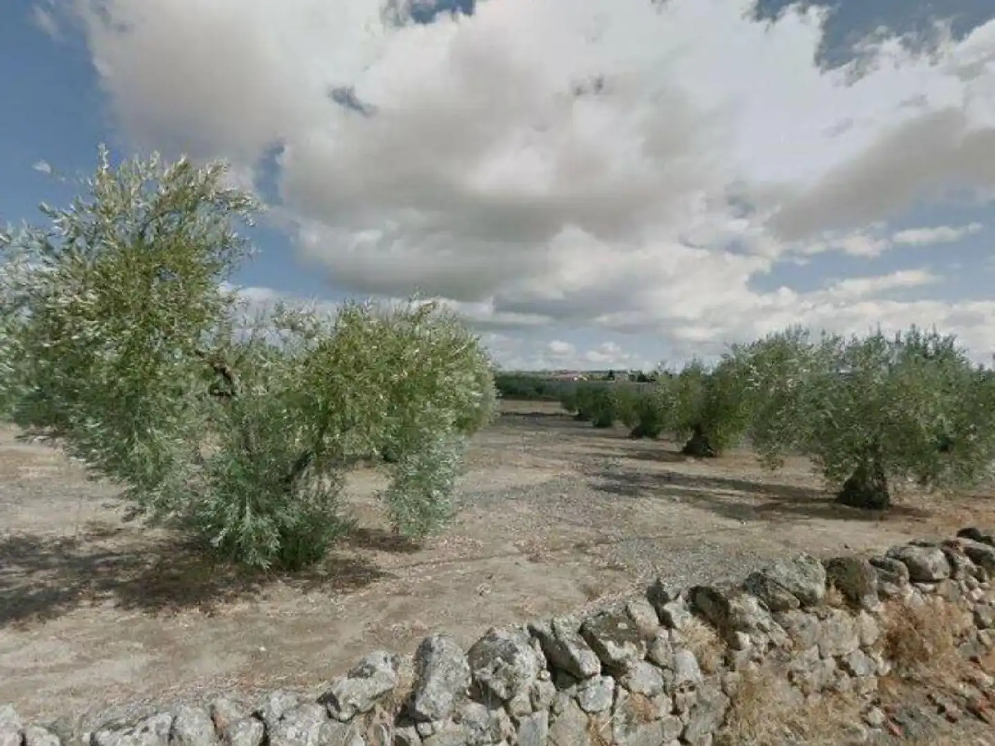 Land for sale in Miajadas
