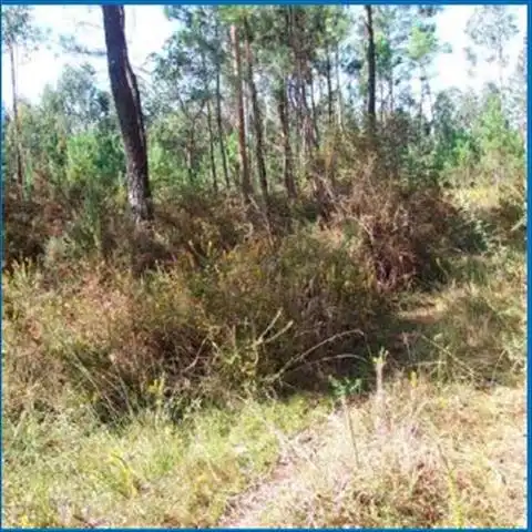 Terreno rustico in vendita a Oleiros, imagen 2