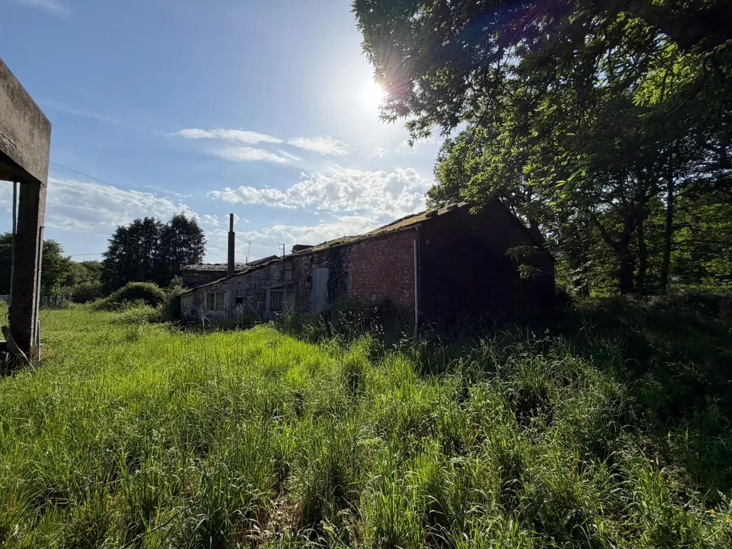 Vista exterior de Finca rústica en venta en Xermade con Jardín privado