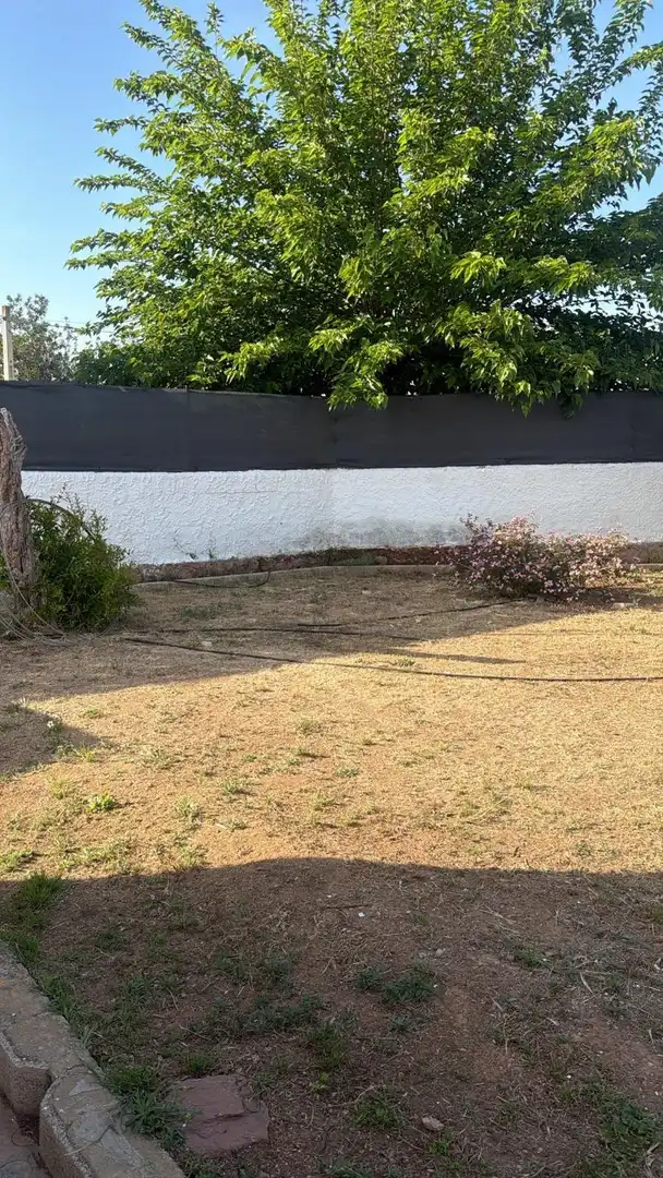 Garden of Houses for rent in Bétera