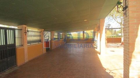 ValdepeñasLocal, imatge 3