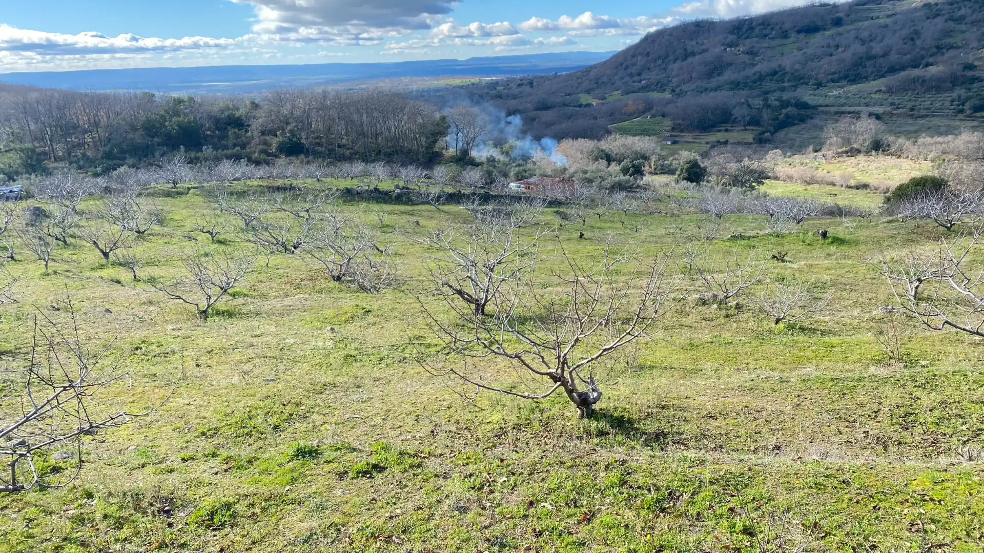 Terreni e lotti in vendita a Pasarón de la Vera, imagen 22