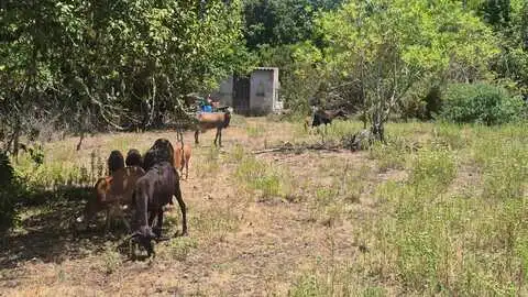 Casa rústica en venda a las abiertas, imagen 45