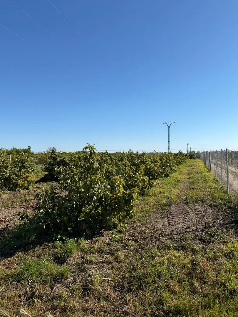 Terreno en venta en Piles