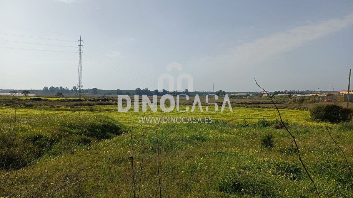Finca rústica en venta en Cartaya