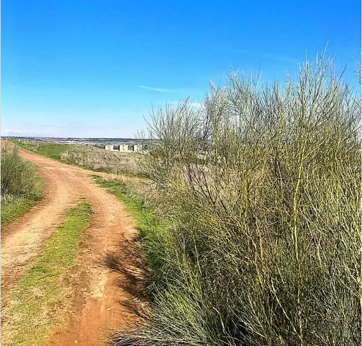 Residential land for sale in SP.P.P.12, imagen 6