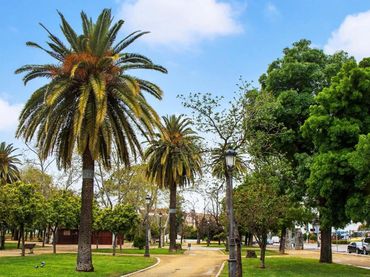 Piso con ascensor en venta en El Retiro - Parque Atlántico - Ronda este