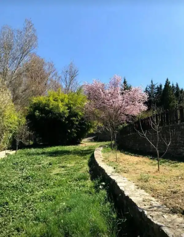 Rustikales Grundstück zum Verkauf in Calle Emilio Aragon 12, imagen 2