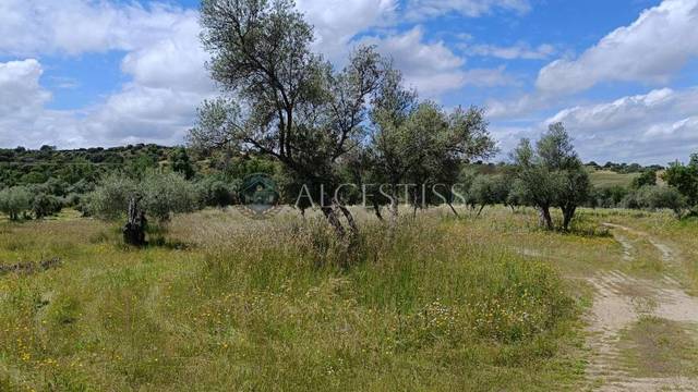 Terreno en Venta en Méntrida
