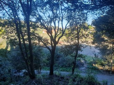 Terreno rustico in vendita a Mercuri 5