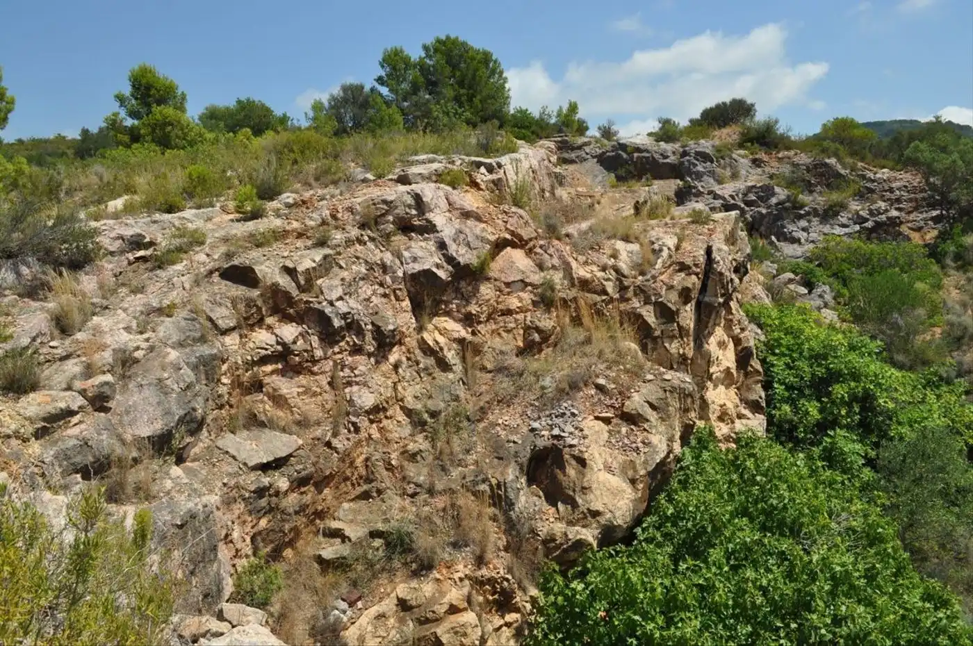 Land for sale in Camí del Barranc de la Llet, 26, Sant Llàtzer