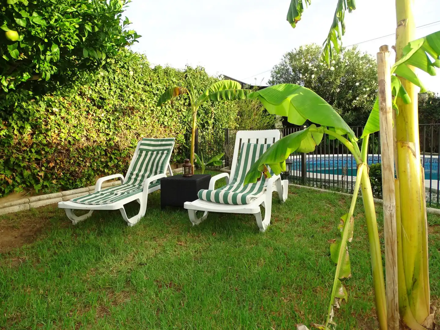 Villa con piscina in vendita a Jardines de triana, imagen 11