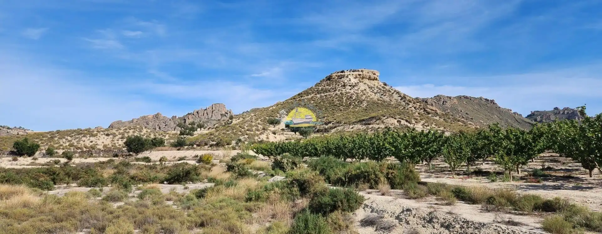 Planta baja en venta en Abarán con Terraza