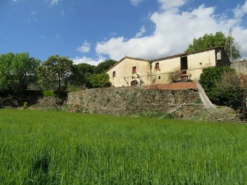 Garden of Country homes for sale in Fogars de Montclús  with Private garden and Storage room