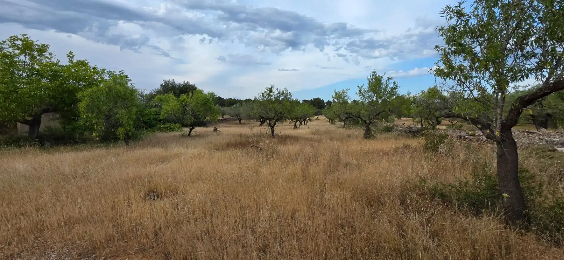 Maison rustique à vendre à L'Ametlla de Mar pueblo, imagen 5