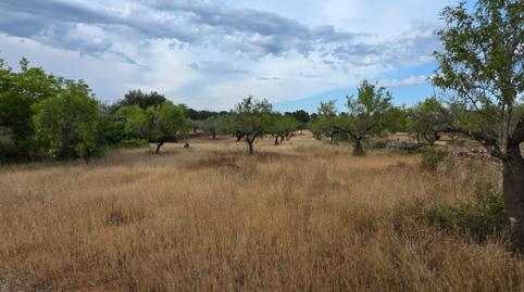 Photo 5 of Country house for sale in L'Ametlla de Mar pueblo, Tarragona