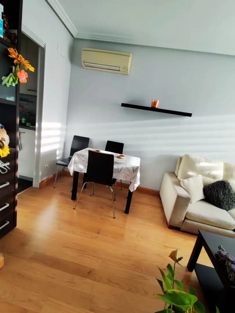 Dining room of Flat for sale in Madrid  with Air Conditioner, Heating and Terrace