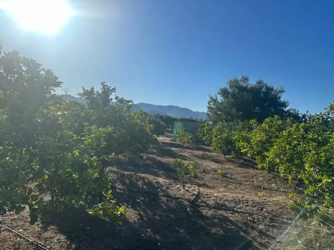 Terreno en venta en Xeresa