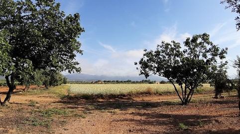 Foto 4 de Finca rústica en venta en N/a, Valls, Tarragona