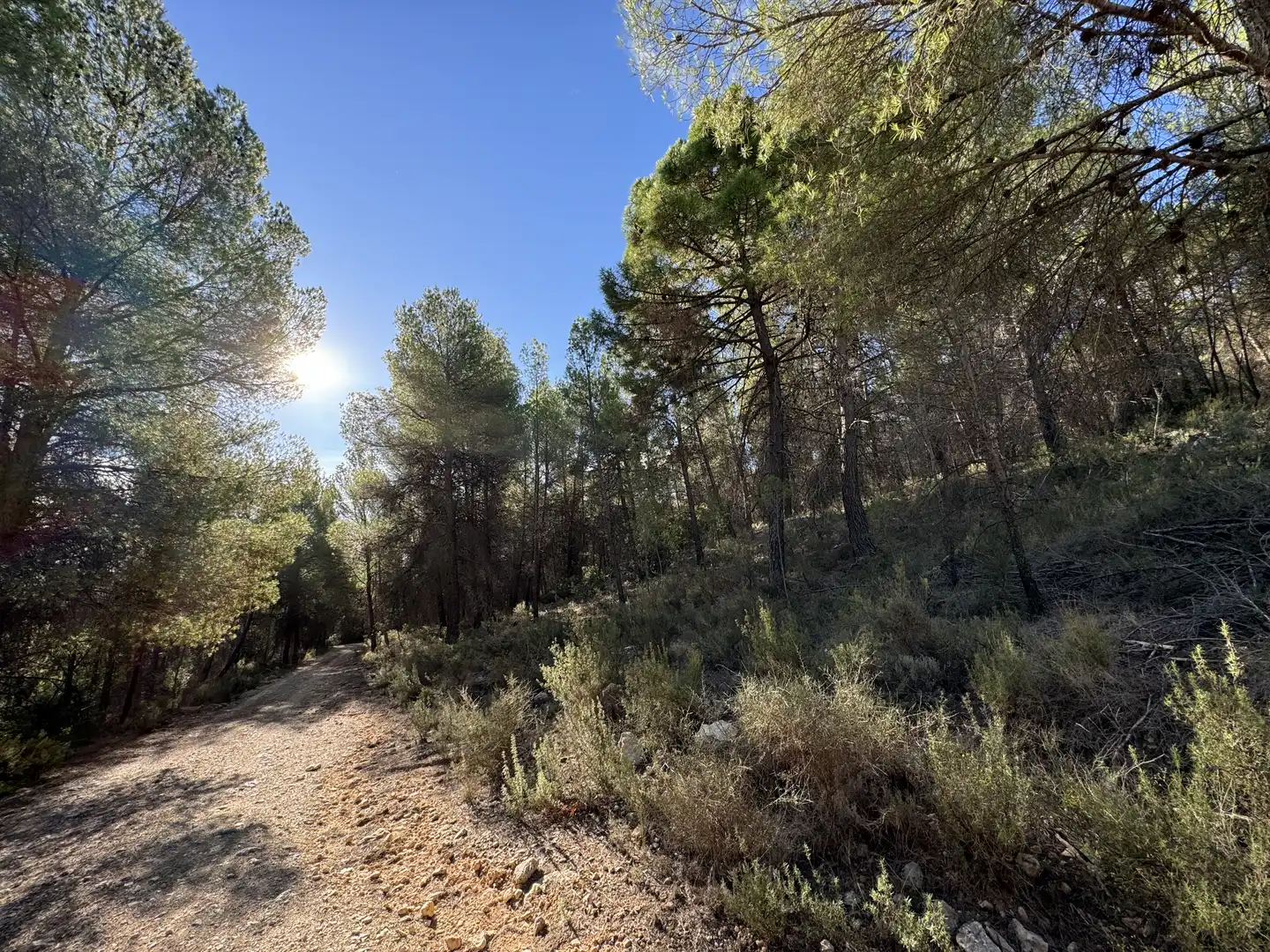 Terreny rústic en venda a Caravaca de la Cruz, imagen 15