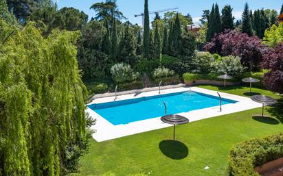 Swimming pool of Flat for sale in  Madrid Capital  with Air Conditioner, Heating and Parquet flooring