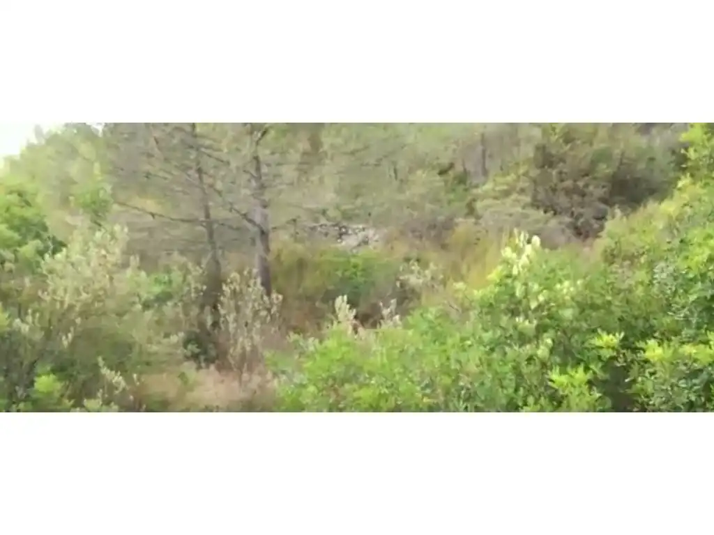 Terreny rústic en venda a Sant Antoni de Portmany, imagen 4