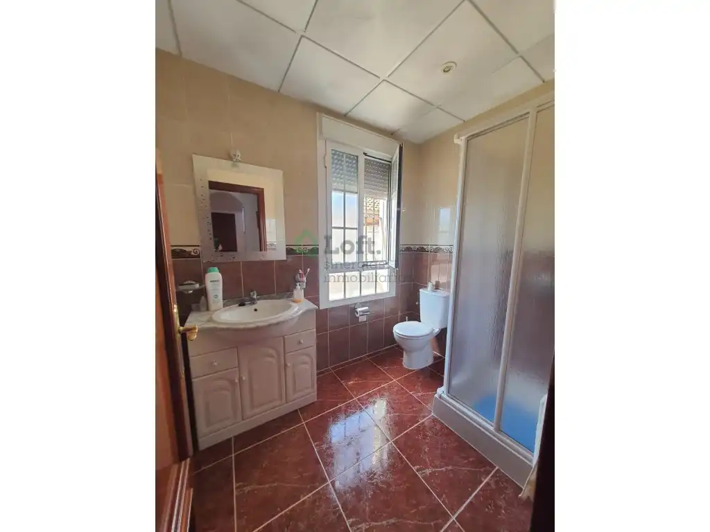 Baño de Casa o chalet en venta en Entrín Bajo