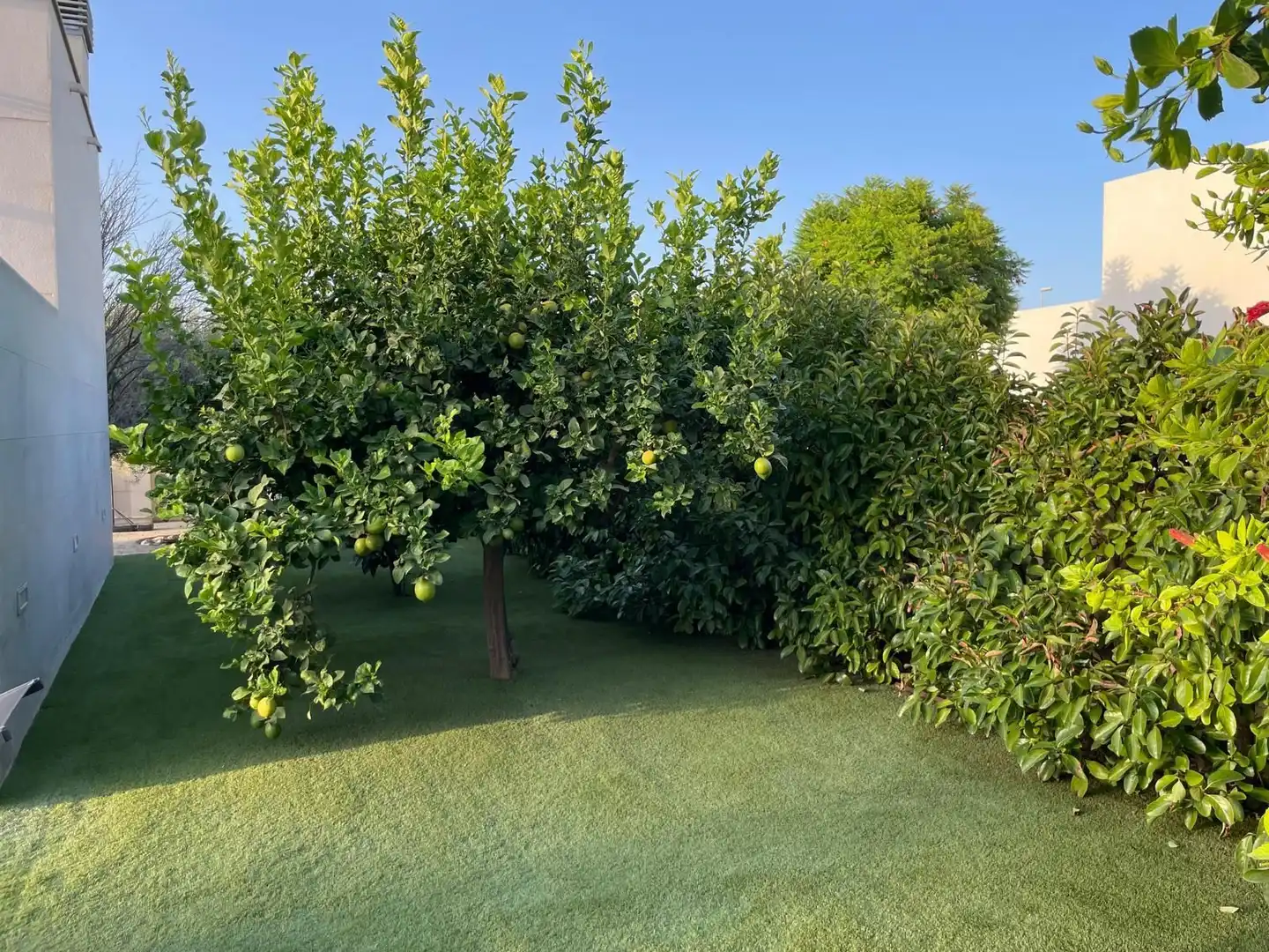 Garden of Houses for sale in Mutxamel  with Air Conditioner, Private garden and Storage room