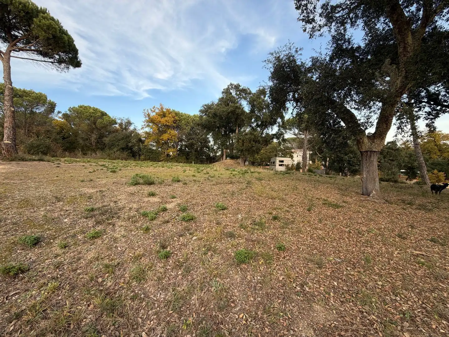 Residencial en venda en Massanes