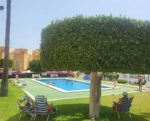 Swimming pool of Flat for sale in Torrevieja  with Swimming Pool