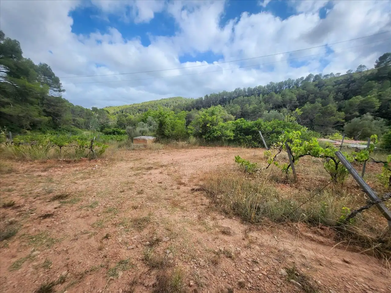 Terreny residencial en venda a Plana de Cal Cendra, imagen 12