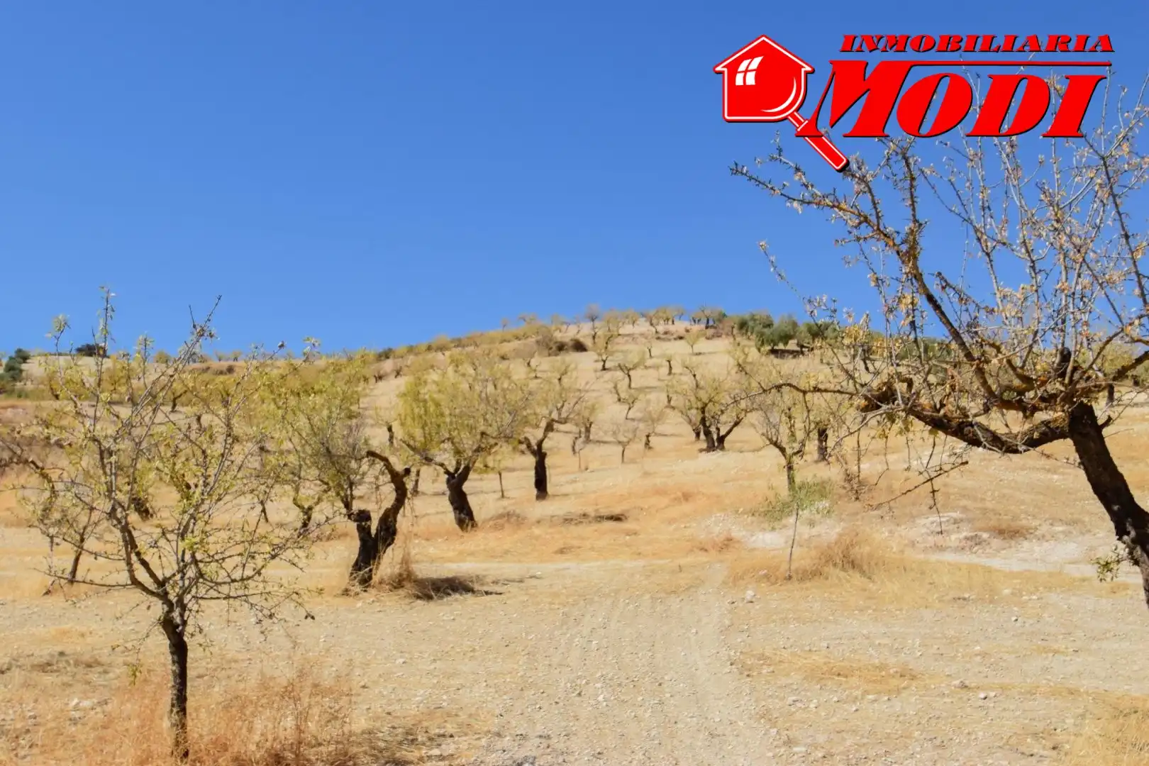 Finca rústica en venda en Cacín amb Jardí privat
