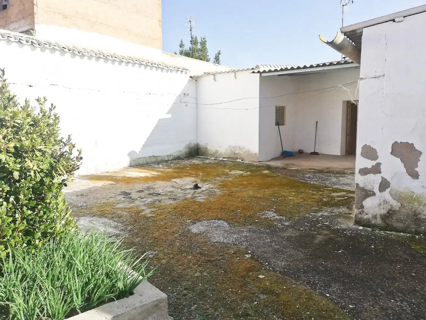 Casa rústica en venda a Argamasilla de Alba, imagen 3