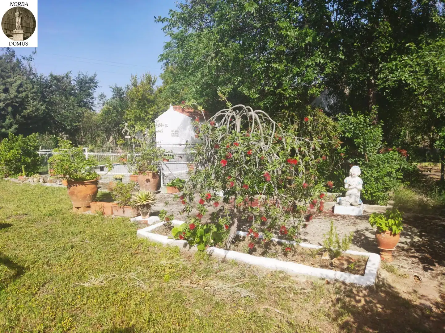 Jardí de Casa o xalet en venda en Cáceres amb Jardí privat, Terrassa i Traster