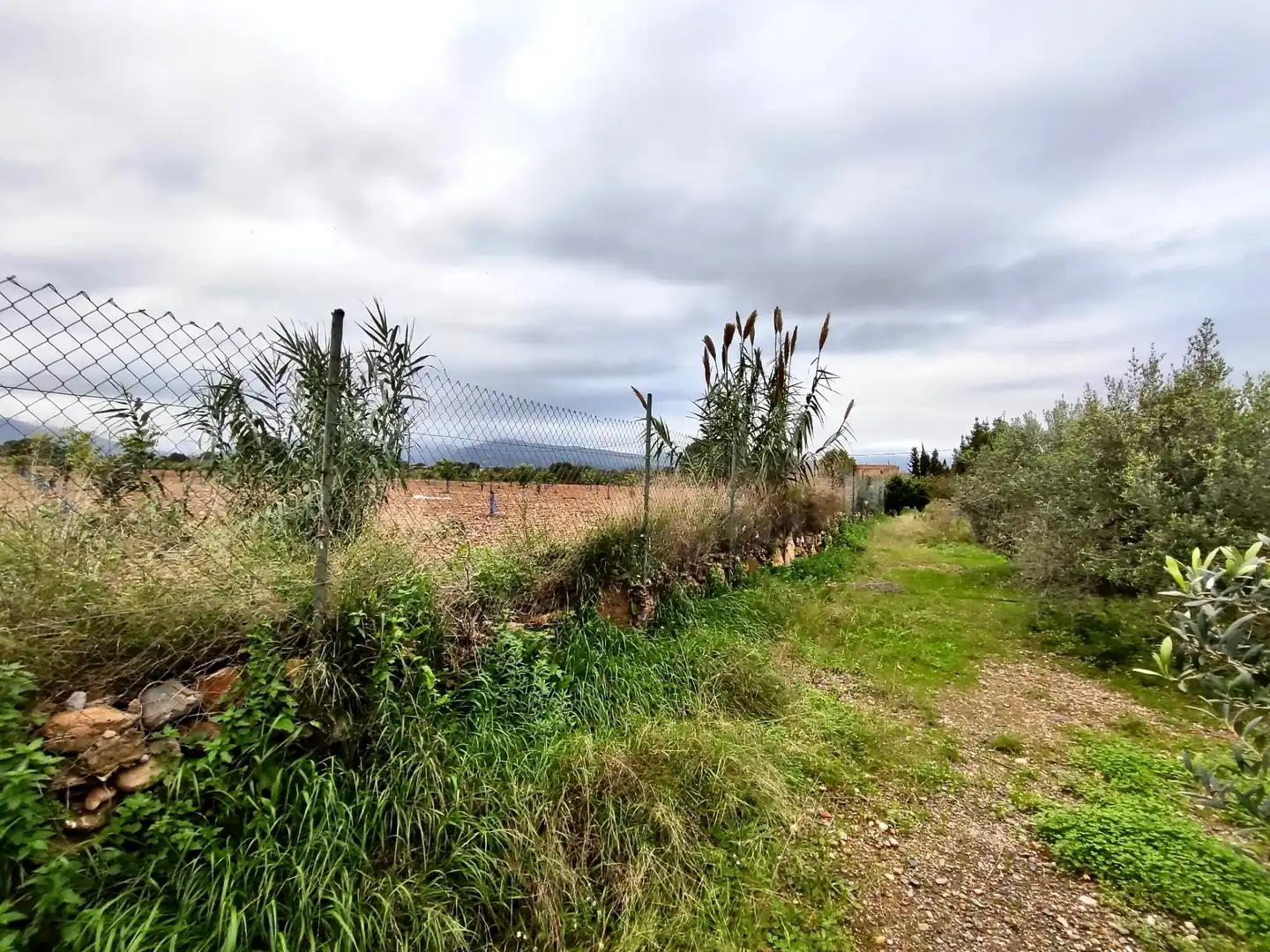 Land for sale in Vilallonga del Camp