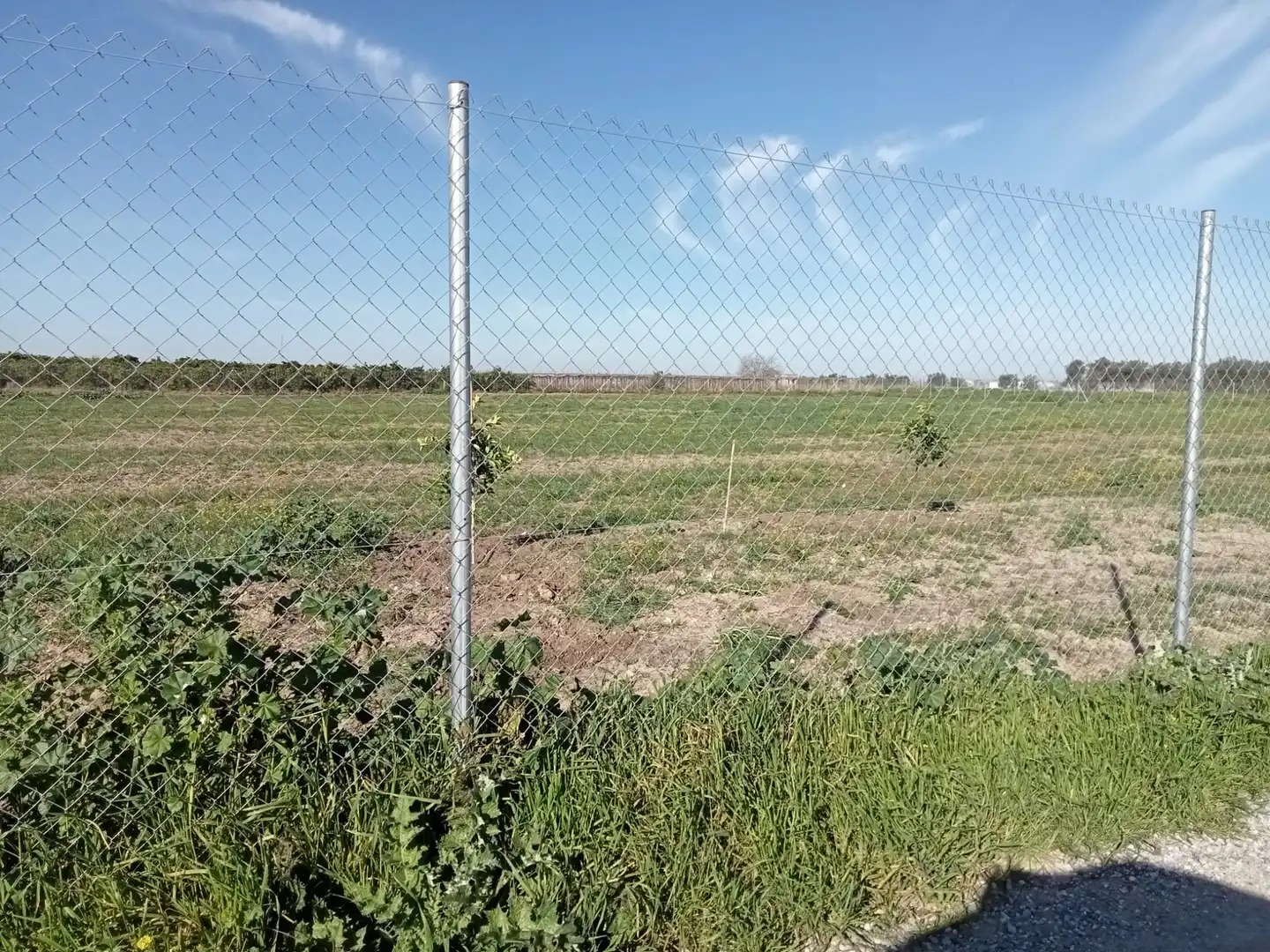 Rustikales Grundstück zum Verkauf in Los Palacios y Villafranca, imagen 7