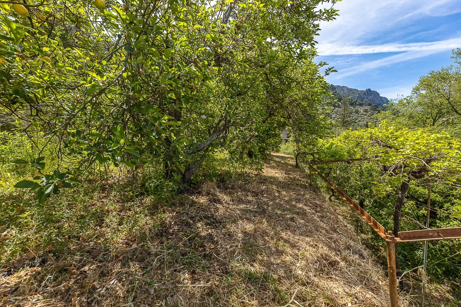 Finca rústica en venda en Sóller amb Terrassa