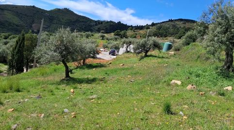 Foto 3 de Finca rústica en venda a Diseminado el Cerval Pol 15, 34b, El Rescate - Río Seco, Almuñécar