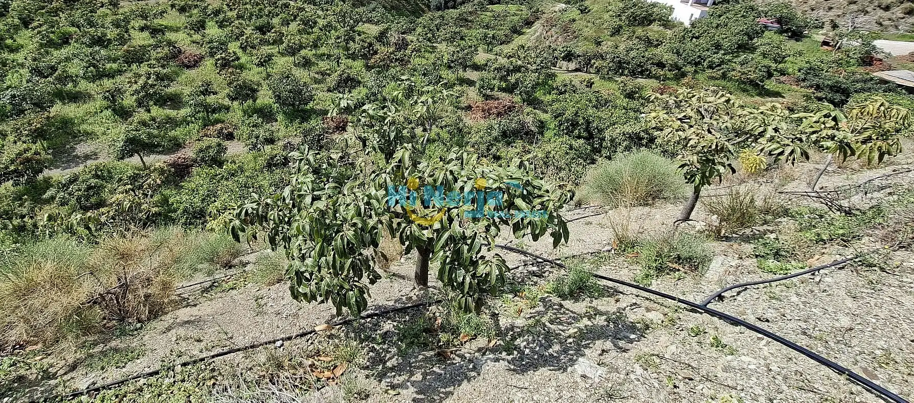 Casa en venta en Vélez-Málaga ciudad, imagen 5