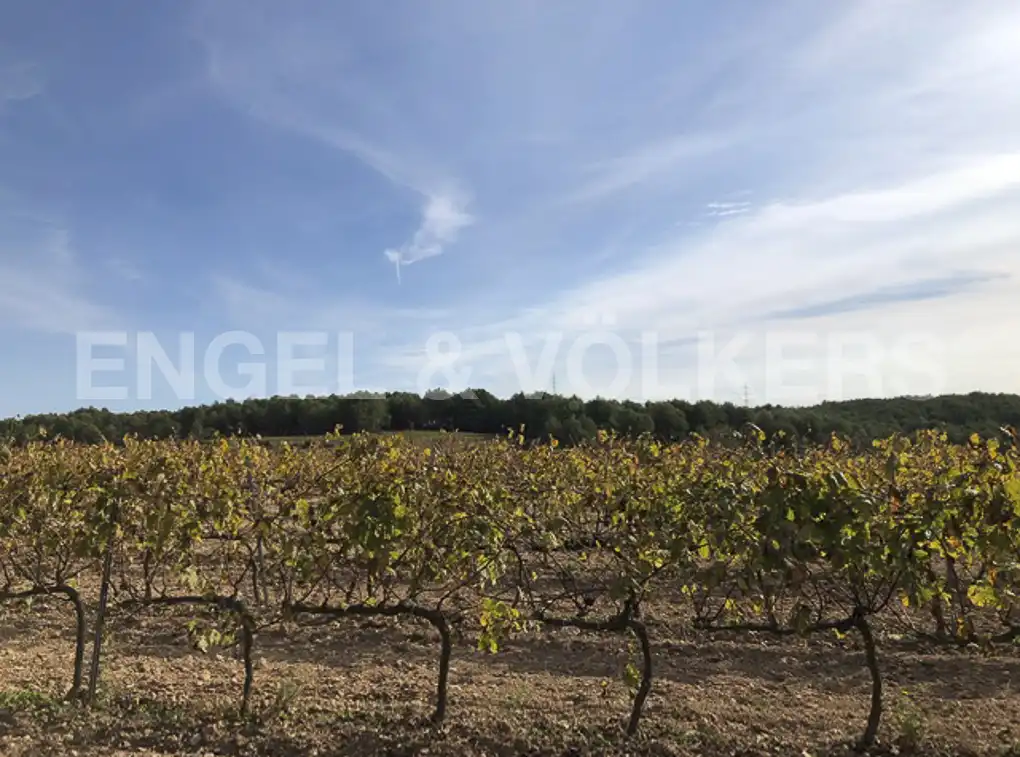 Terreny residencial en venda a Avinyonet del Penedès, imagen 34