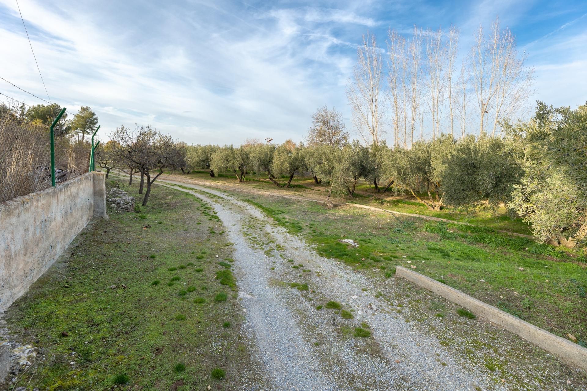 Finca rústica en venda en Villa de Otura amb Jardí privat, Terrassa i Traster