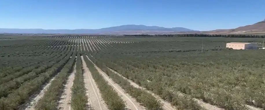 Terreni e lotti in vendita a Alcalá la Real, imagen 3