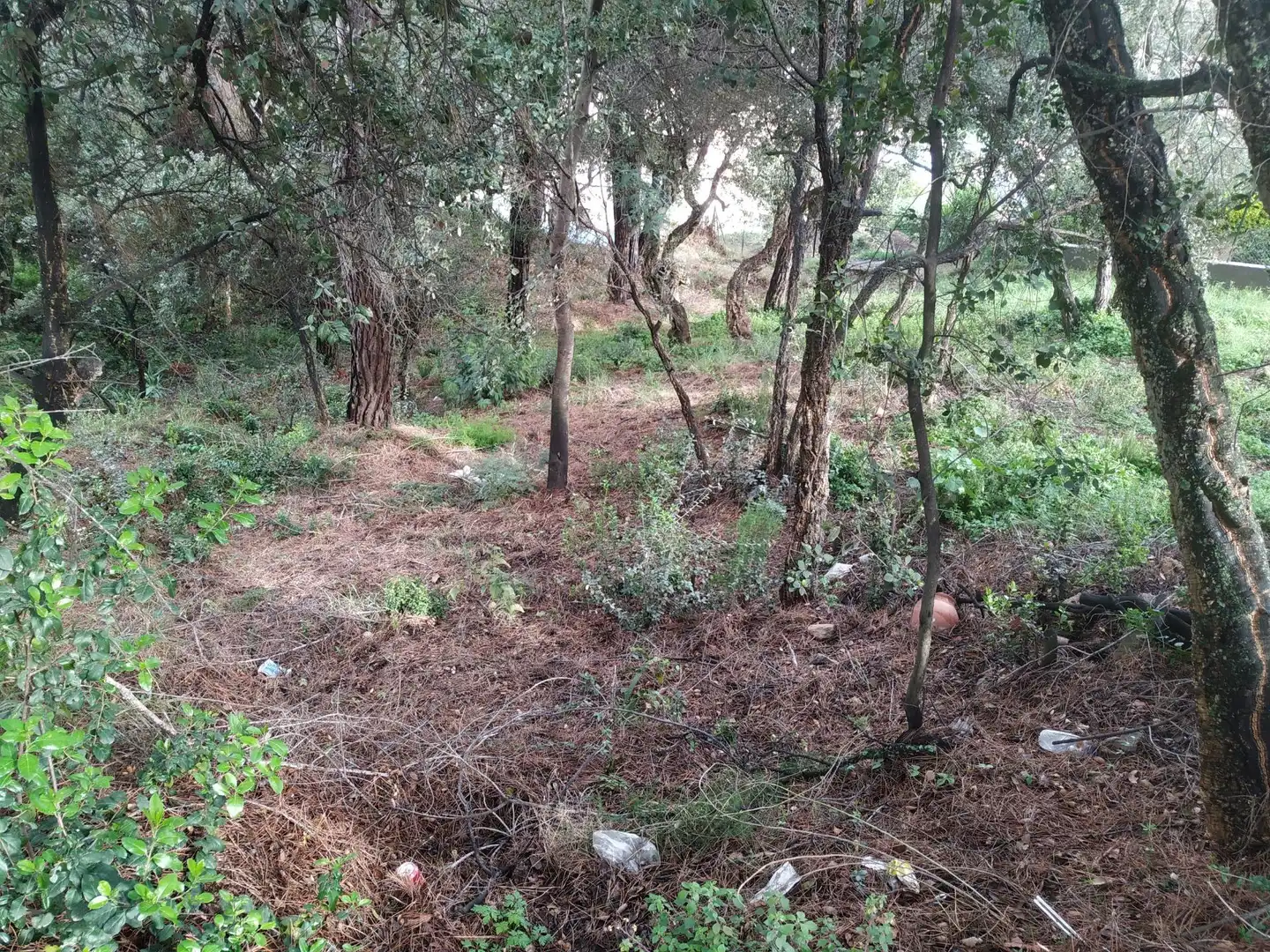 Terreny rústic en venda a Carrer del Berguedà, imagen 8